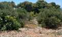 Croatia, North Dalmatia,  - Plot, for sale